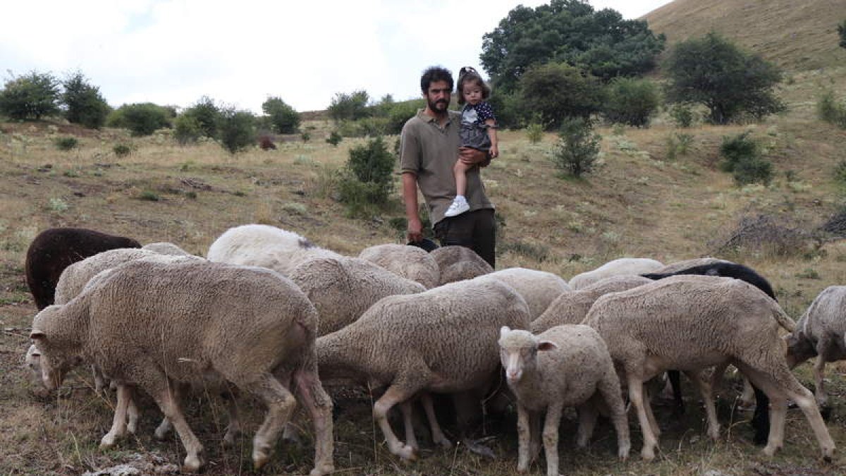 Víctor junto con su hija da de comer a las ovejas en el monte de adrados. CAMPOS