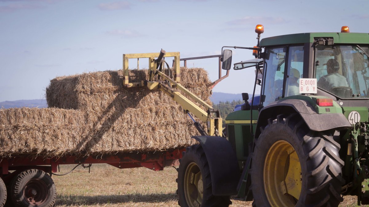 Archivo - Un tractor durante la recogida de trigo en la parroquia de Calvo, a 31 de julio de 2023, en Abadin, Lugo, Galicia (España).