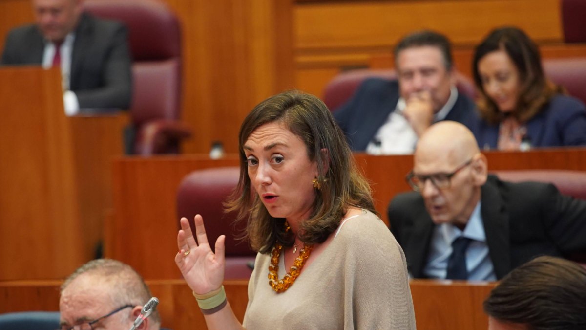 La consejera, en una de sus intervenciones en el Pleno de las Cortes.