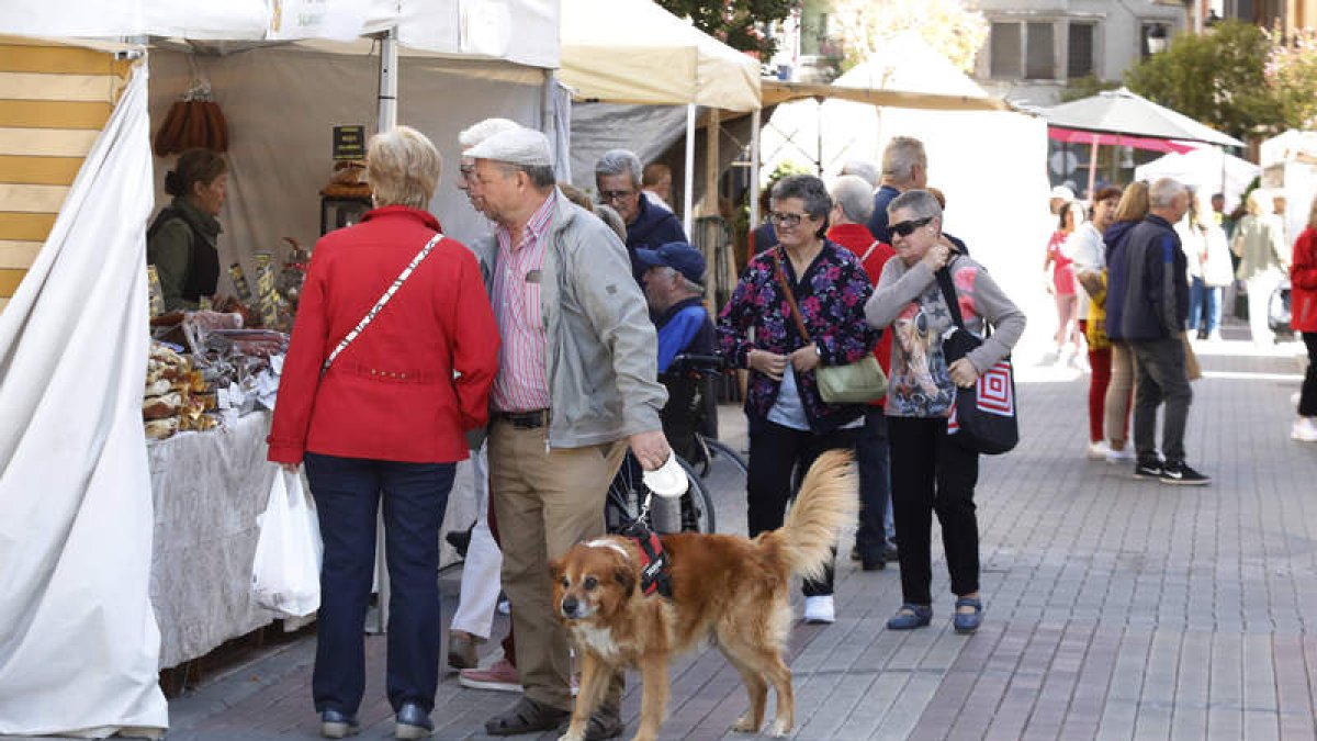 Varios puestos de la Feria Multisectorial que estará abierta todo el fin de semana en La Bañeza. RAMIRO