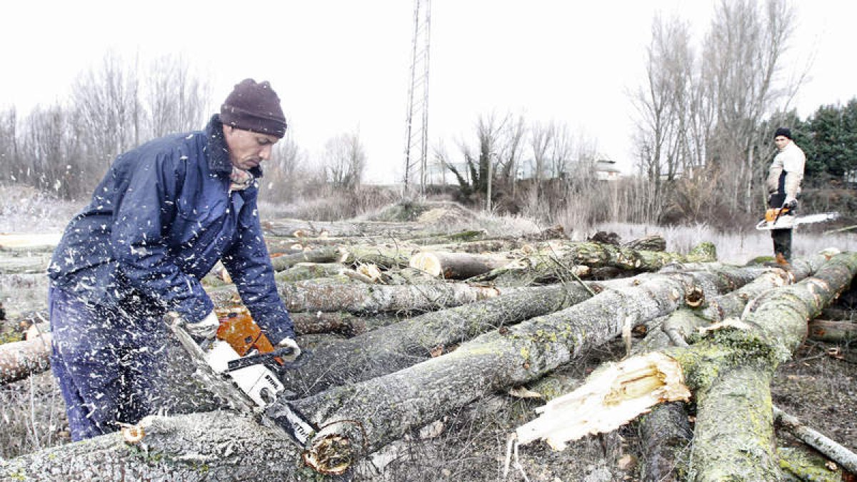 En la última subasta se han vendido lotes procedentes de Benamariel, Roderos y Palanquinos.  BRUNO MORENO