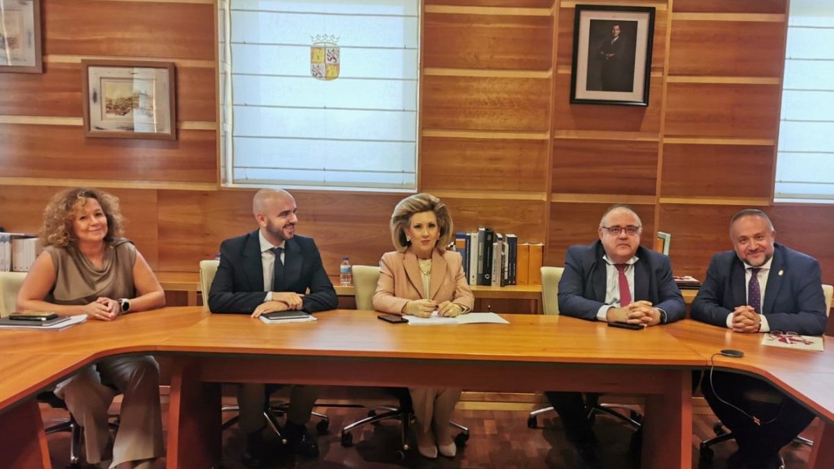 Imagen de la reunión facilitada por la Diputación.