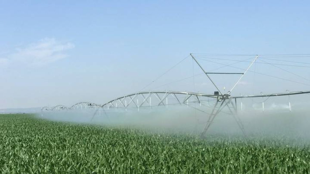 Tierras de regadío.