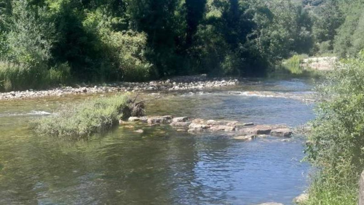 Parte del cauce del río Burbia que será objeto de actuación.  DL