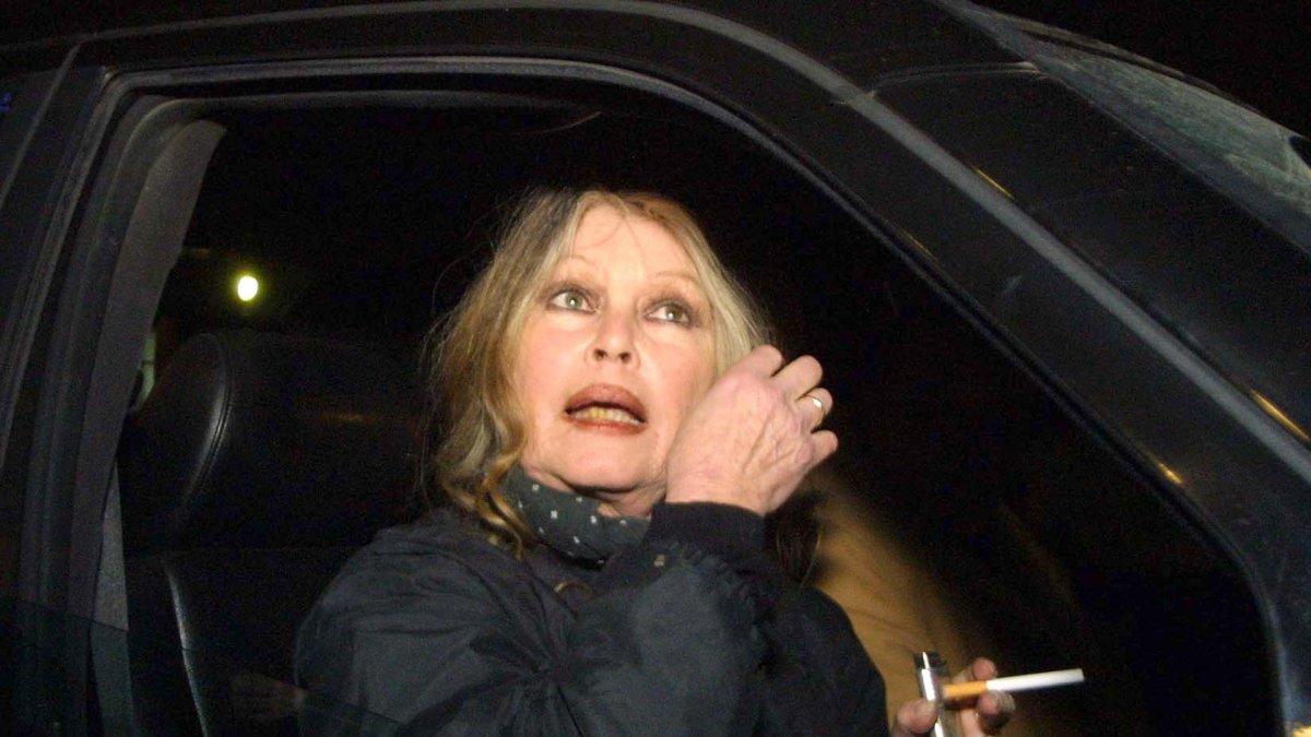Foto de archivo de la actriz Brigitte Bardot. EPA PHOTO/EPA- ROBERT GHEMENT