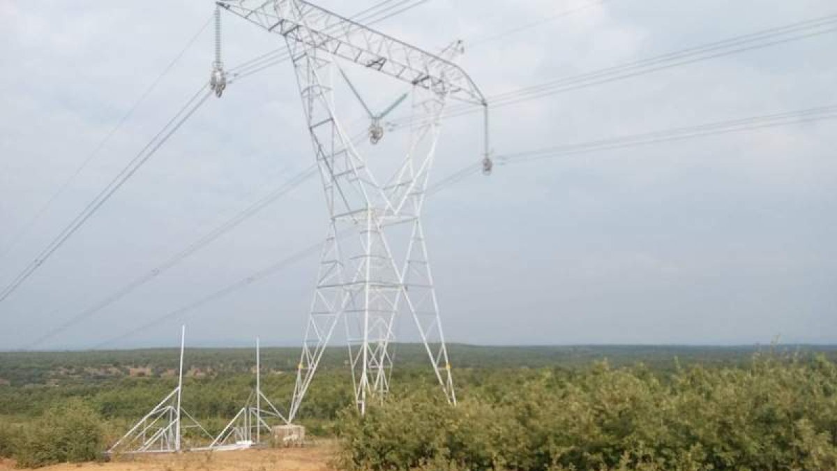 Imagen de los cables en los que ya está actuando Red Eléctrica Española.  DL