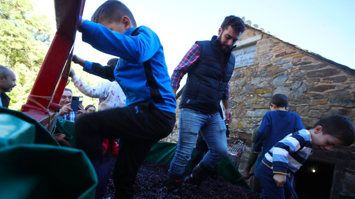 Noceda celebra su Fiesta de la VendimIa con una pisada infantil de la uva y la elaboración tradicional del vino.