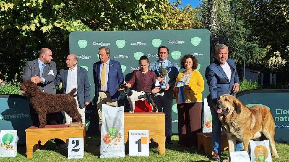 Mejores razas españolas del certamen internacional canino. DL