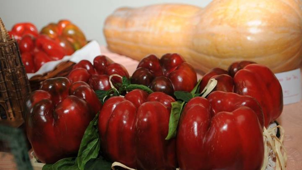 Pimientos de Fresno de la Vega.