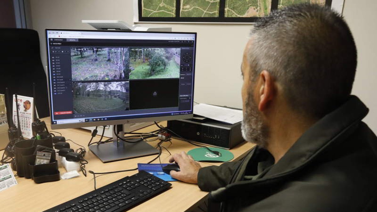 El agente controla a los ejemplares con un circuito cerrado de cámaras.  RAMIRO