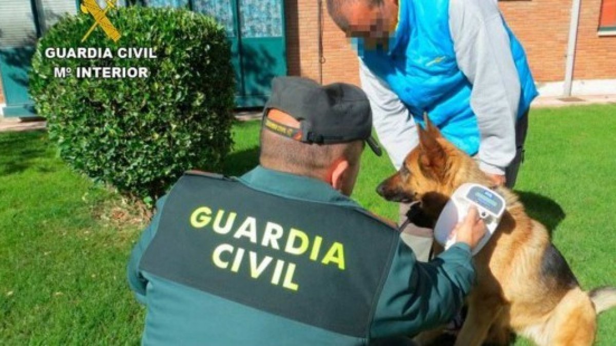 Operación Can de la Guardia Civil.