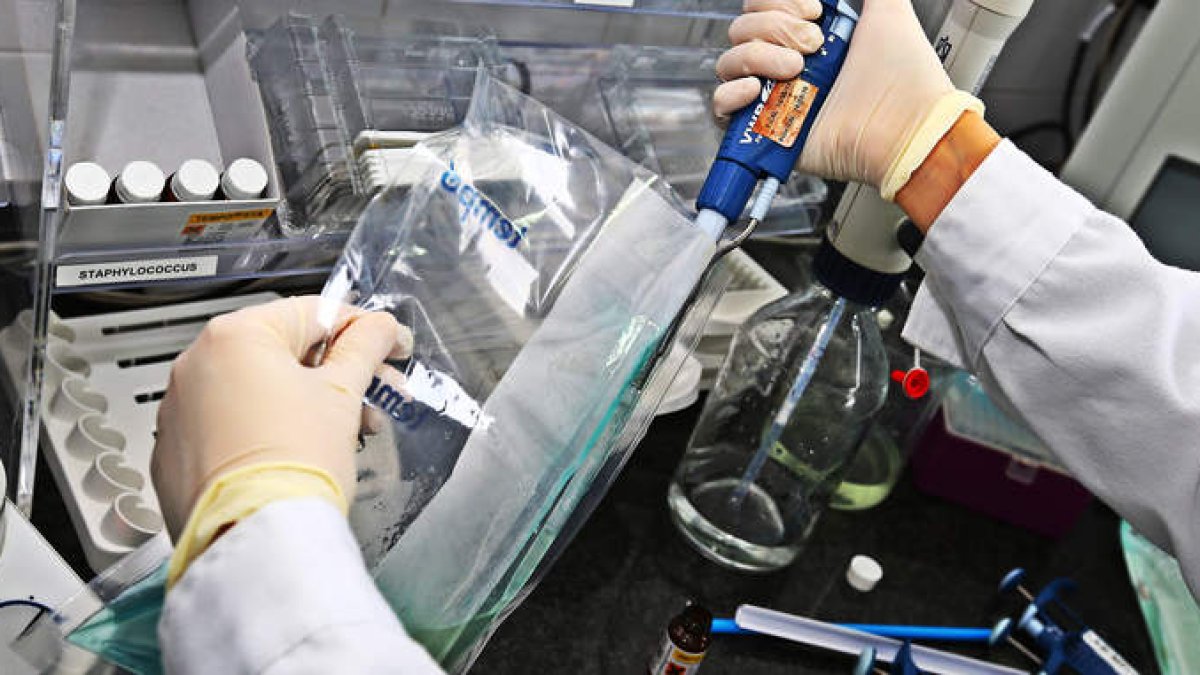 Trabajos técnicos para el control de la carne.  ramiro