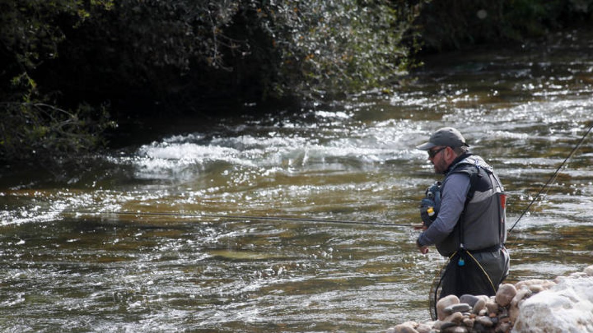 Un pescador, durante la semana internacional de la trucha