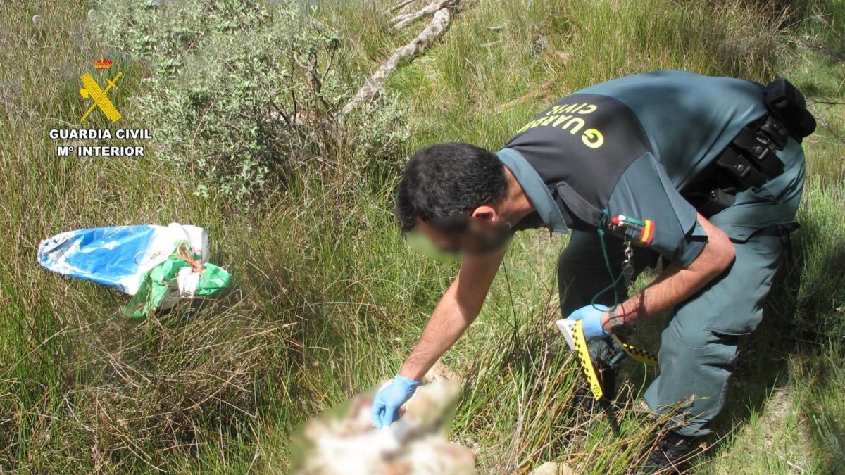 Investigan a dos hombres por la muerte de dos perros; uno, estrangulado con alambres y otro, por falta de alimento