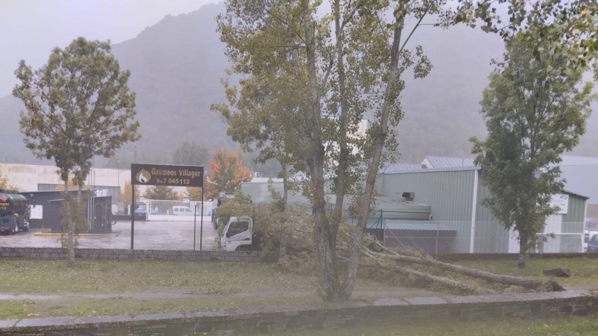 Árboles caídos en el polígono industrial de Villager.