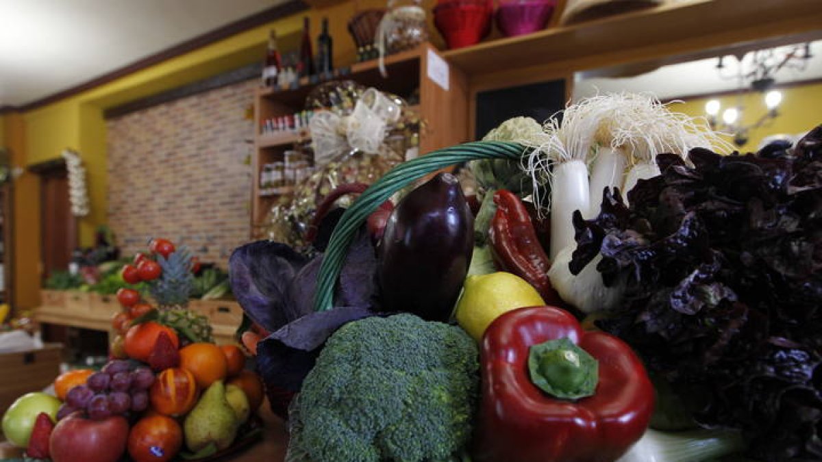 Verduras de la huerta leonesa