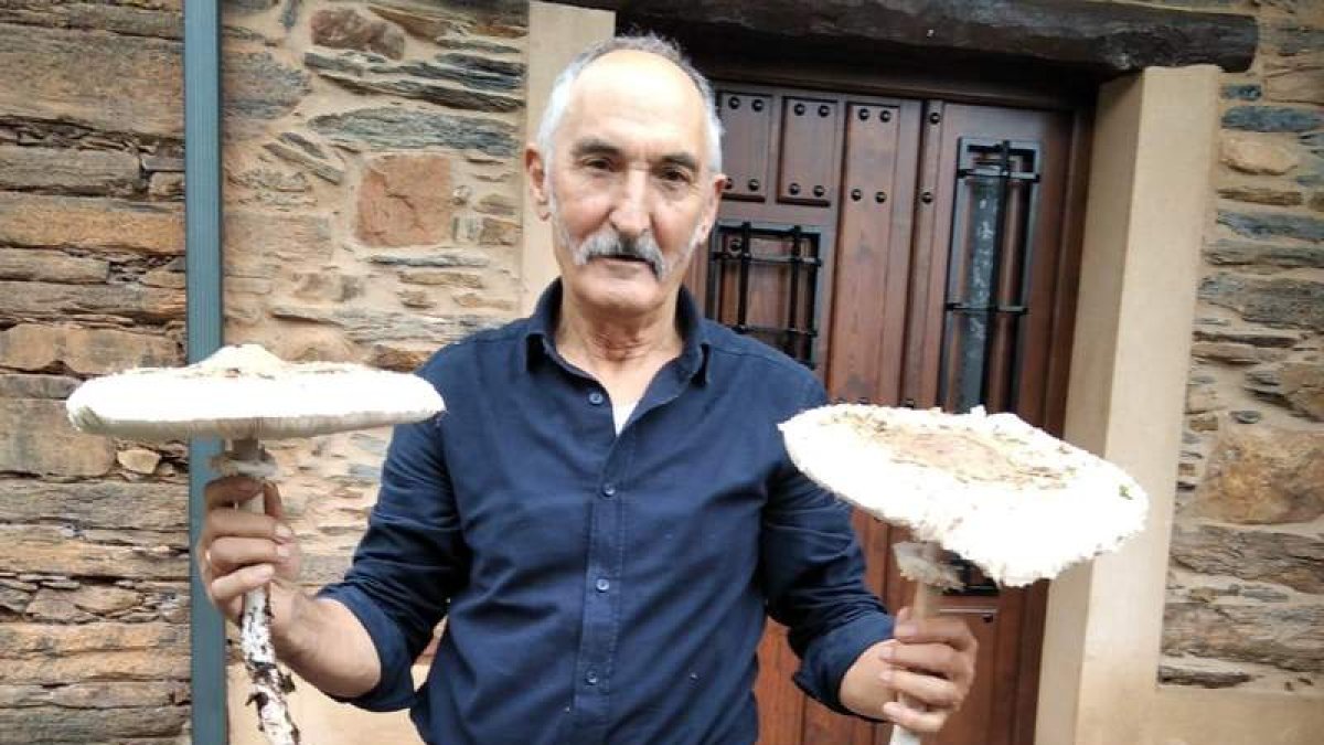 El vecino que ha recogido las setas. DL