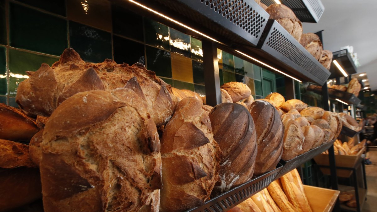 Panes exhibidos en los expositores de la Panadería Flecha.