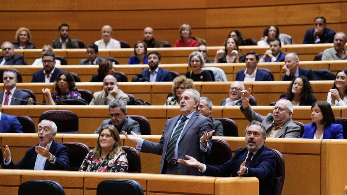 Imagen de la bancada socialista del Senado tras la votación. BORJA SÁNCHEZ TRILLO