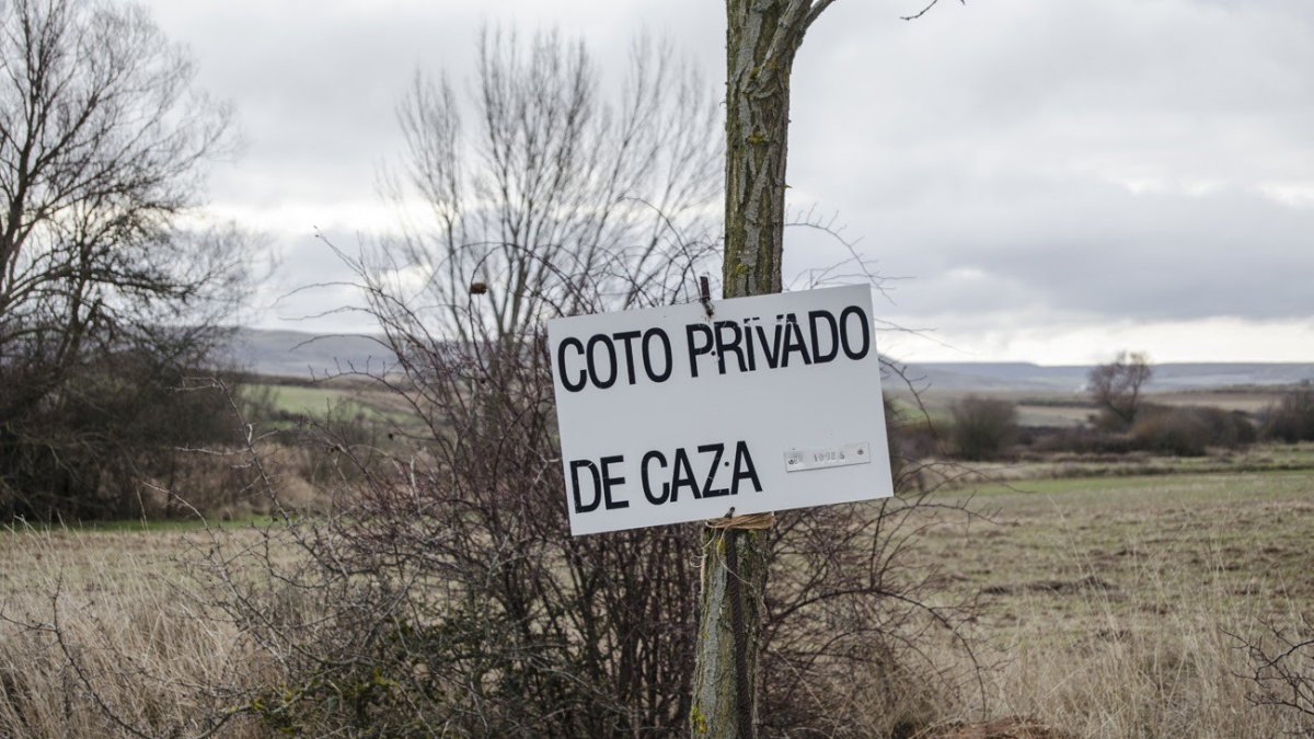PACMA solicita a Agricultura suspender la caza los domingos, festivos y vacaciones de Navidad en toda España.