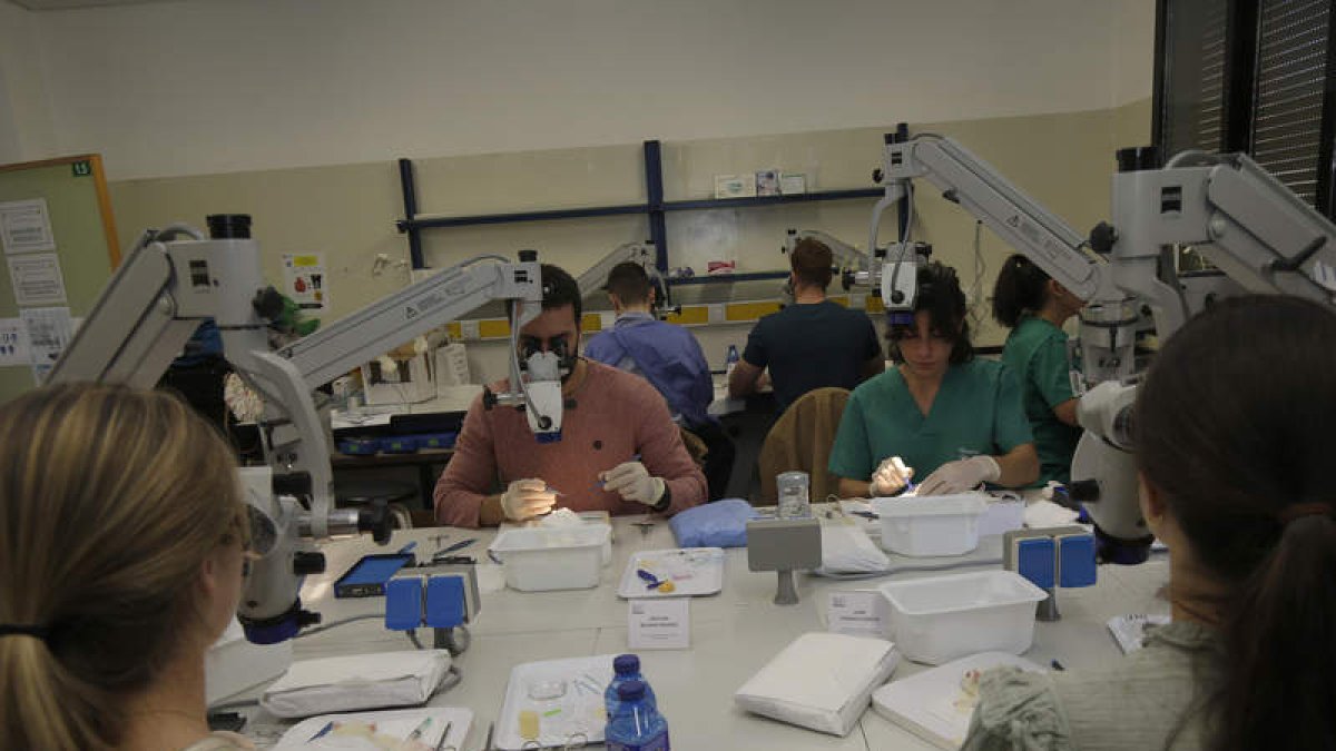 Participantes en el curso que se clausuró ayer en León. FERNANDO OTERO