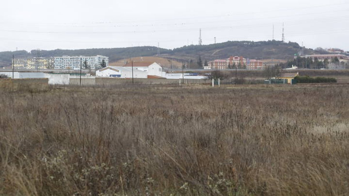 Terrenos próximos a la carretera de Villarroañe.