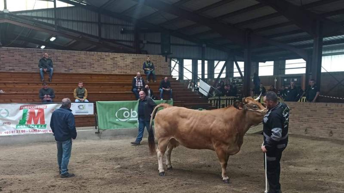 Un momento del curso.  ARAUJO