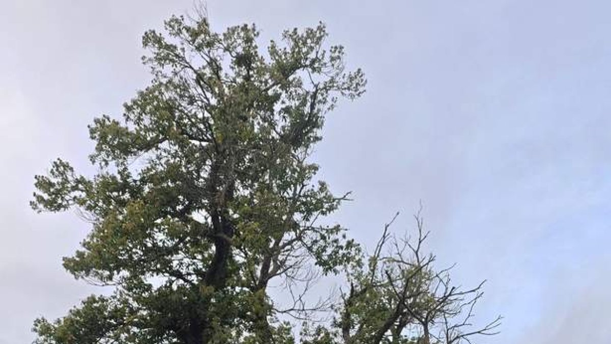 Nos parece imposible que desaparezcan los paisajes queridos.  R. G.-QUEVEDO