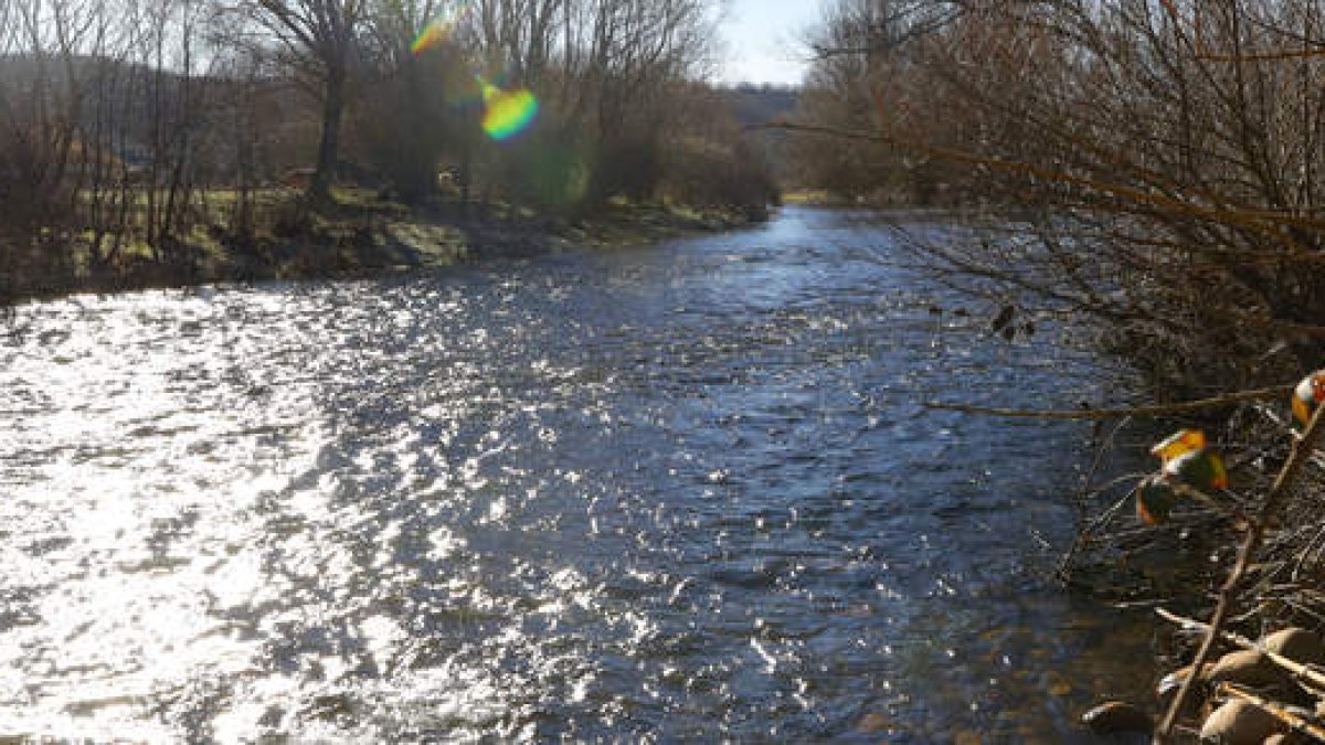 El Torío, protagonista del proyecto, a su paso por Garrafe.  RAMIRO