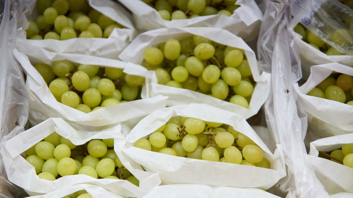 Archivo - Racimos de uvas en un expositor de una frutería en un mercado.