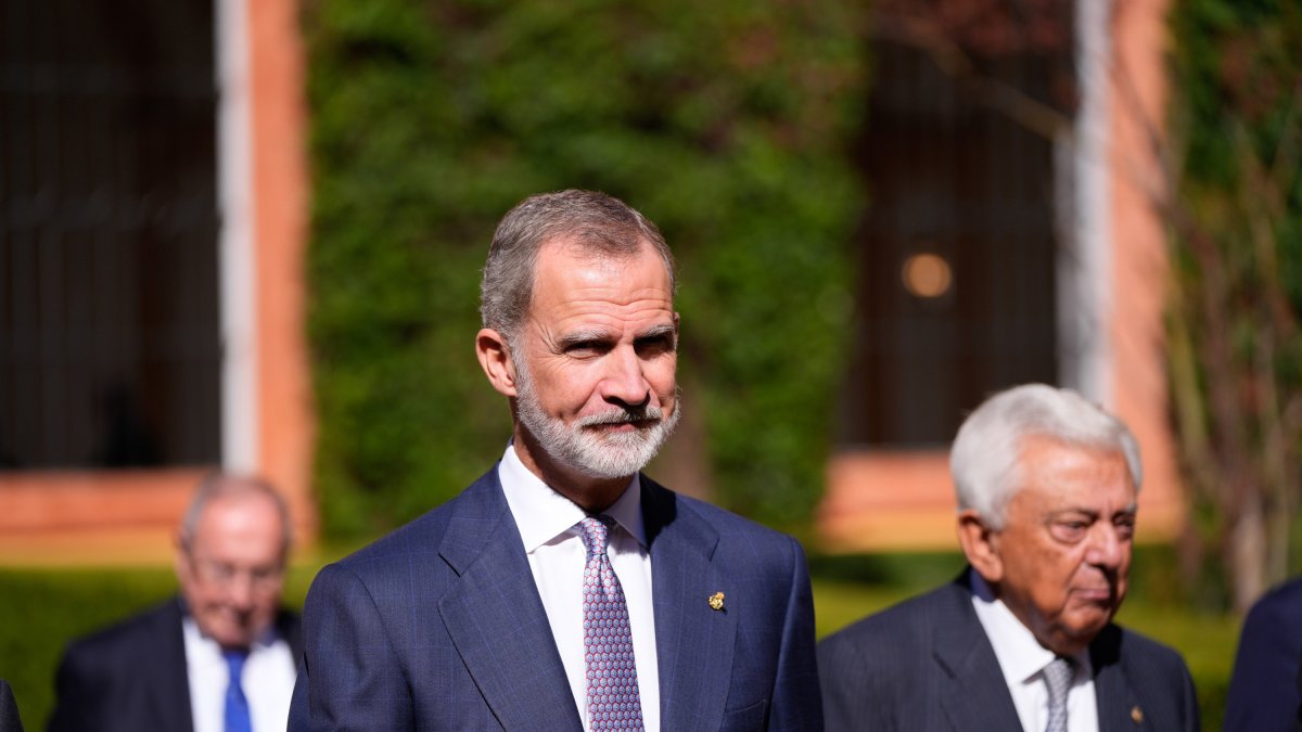 El Rey Felipe VI