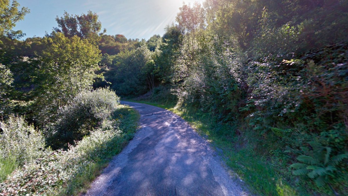La carretera que une La Faba y Bargelas.