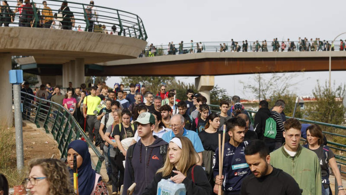 Imagen de los miles de voluntarios.  ANA ESCOBAR