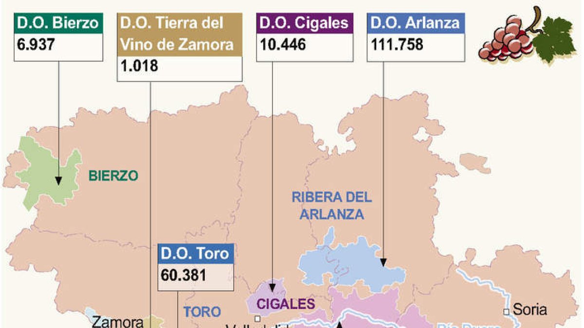 Visitantes de las Rutas del Vino en la counidad en 2023. <a href=