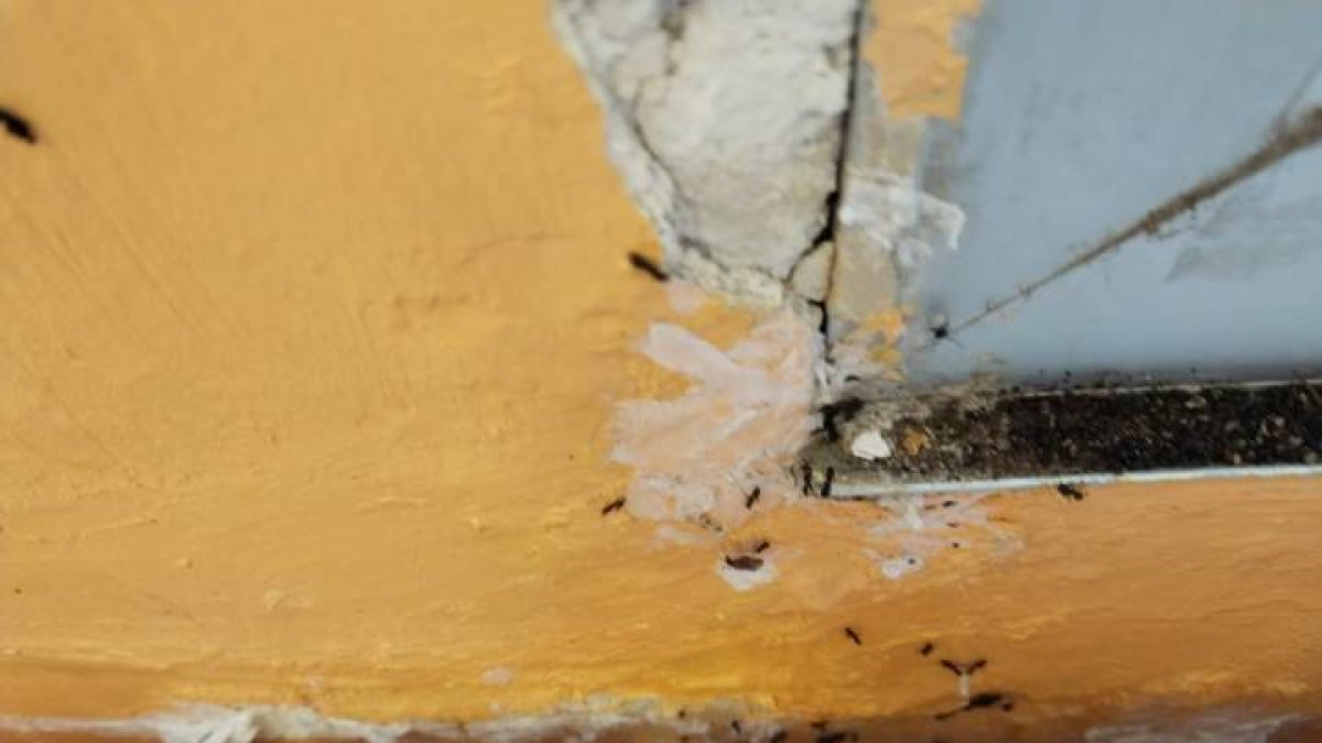 Desperfectos en uno de los colegios de la capital leonesa.