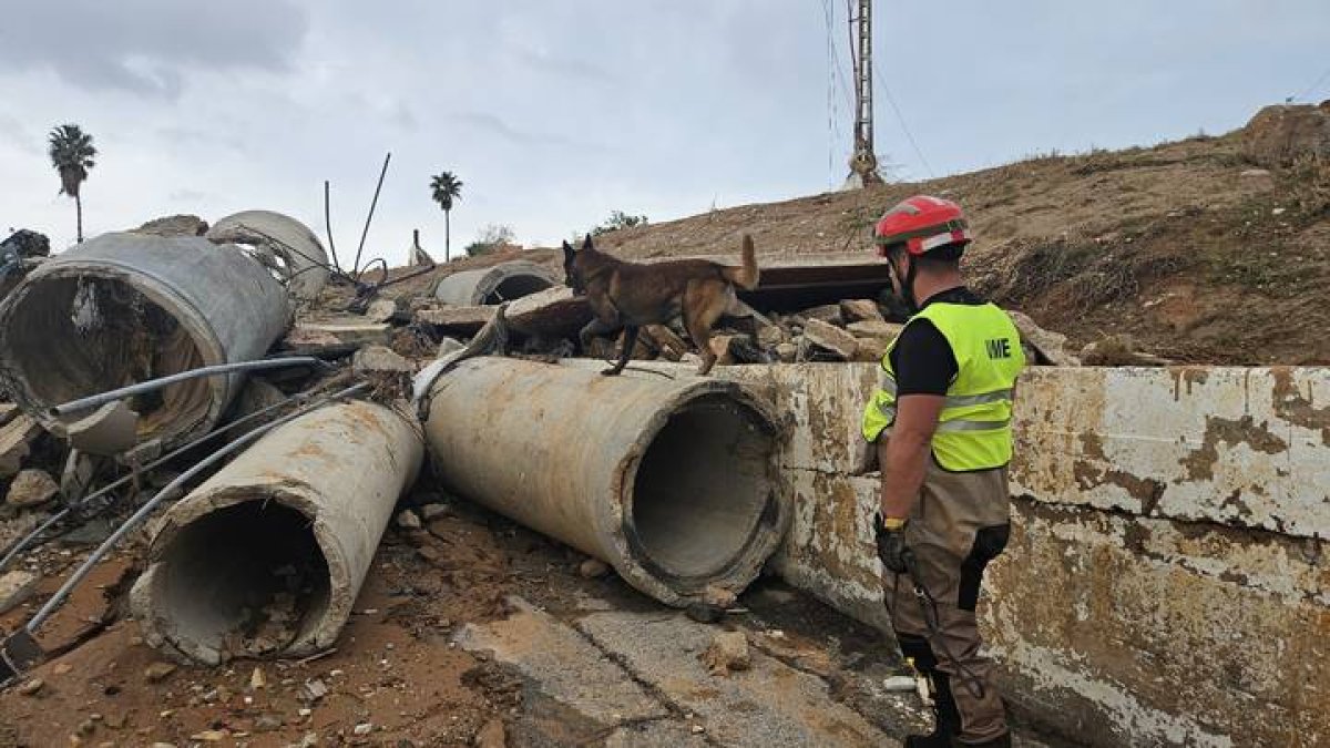 Uruk-Hai y el cabo Valiño rastrean una de las zonas afectadas por la Dana.