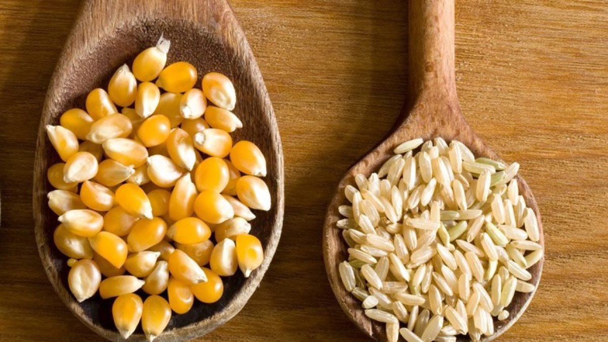 Archivo - Cereales, semillas, comida, exportaciones