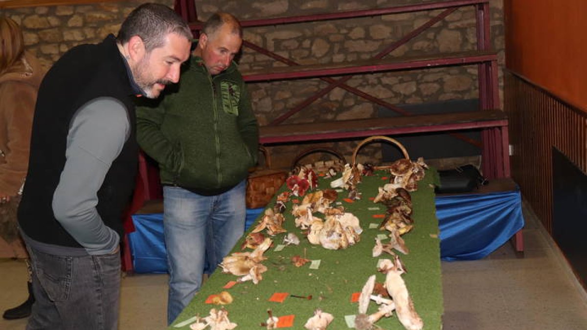 El micólogo José Antonio Sánchez en su charla sobre setas comestibles y tóxicas.