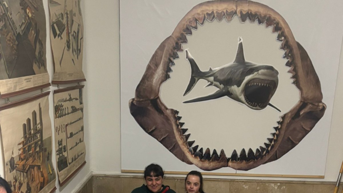 Visita de Down León al Museo de las Colecciones de la ULE.