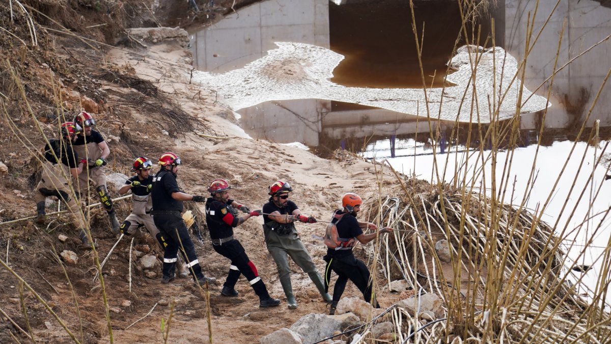 Efectivos de la UME trabajan quitando árboles, a 7 de noviembre de 2024, en Cheste, Valencia