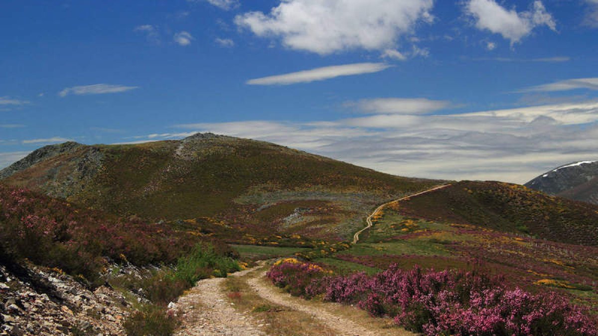 Los paisajes de Murias de Paredes son únicos en la península. DL