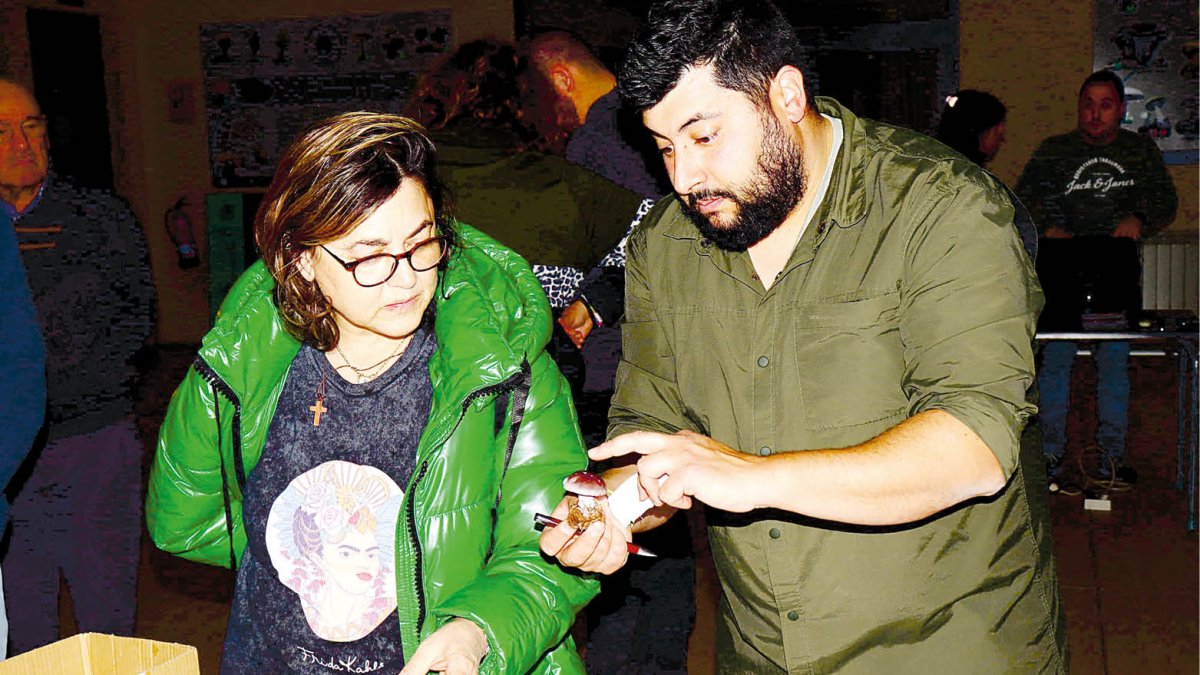 Jornadas micológicas del Cea.