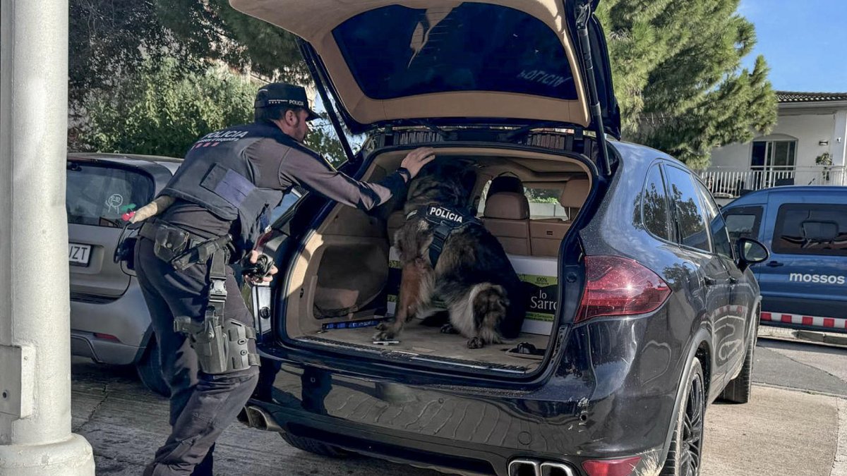 Agentes de los Mossos d'Esquadra registran un vehículo durante el macrodispositivo conjunto que están llevando a cabo este martes con la Europol en las provincias de Barcelona y Tarragona. EFE/Javier Díaz