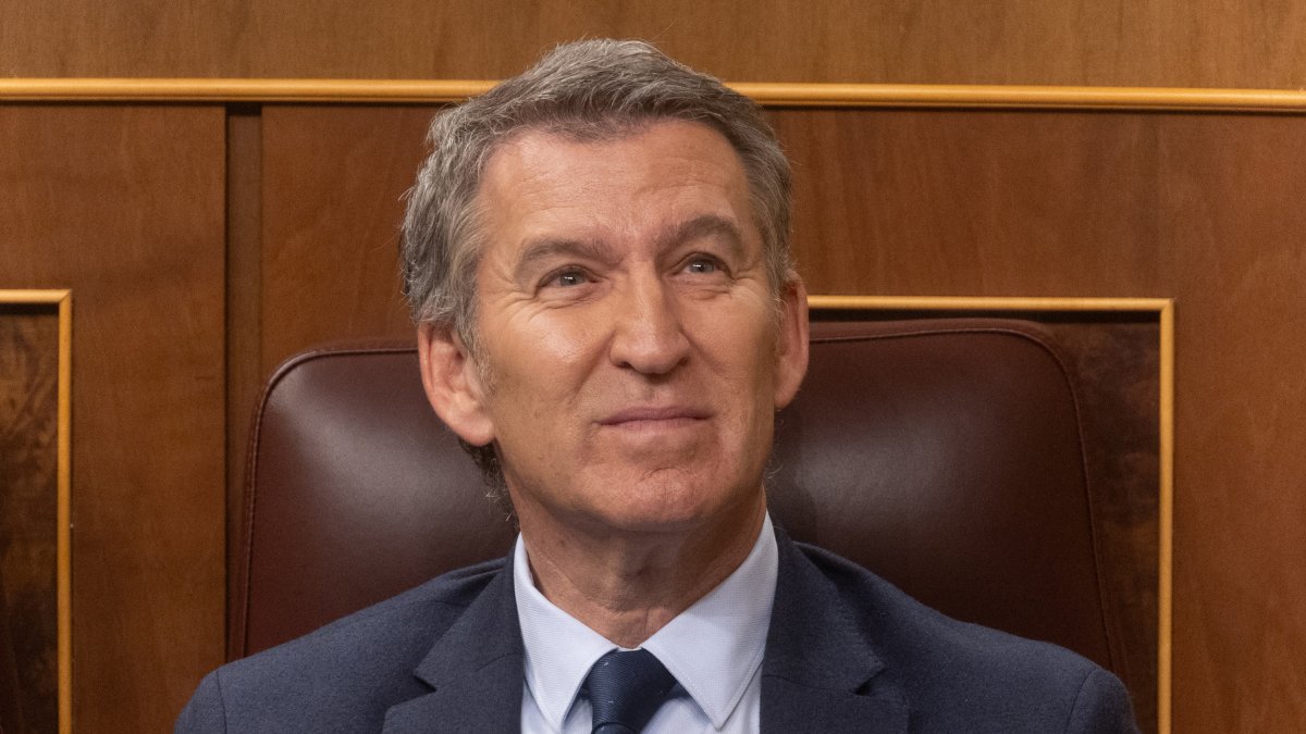 El presidente del PP, Alberto Núñez Feijóo, durante una sesión de control al Gobierno, a 20 de noviembre de 2024, en Madrid (España).