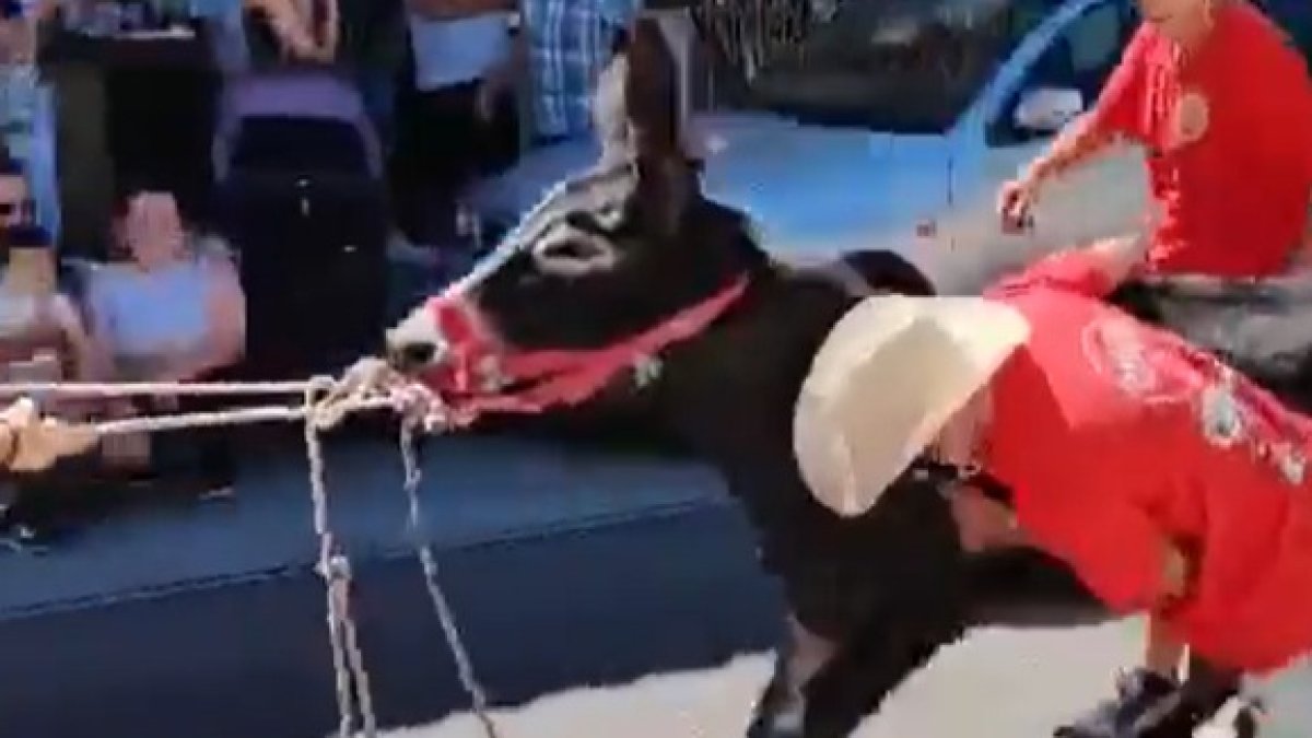 Captura del vídeo que compartió Pacma en sus redes sociales