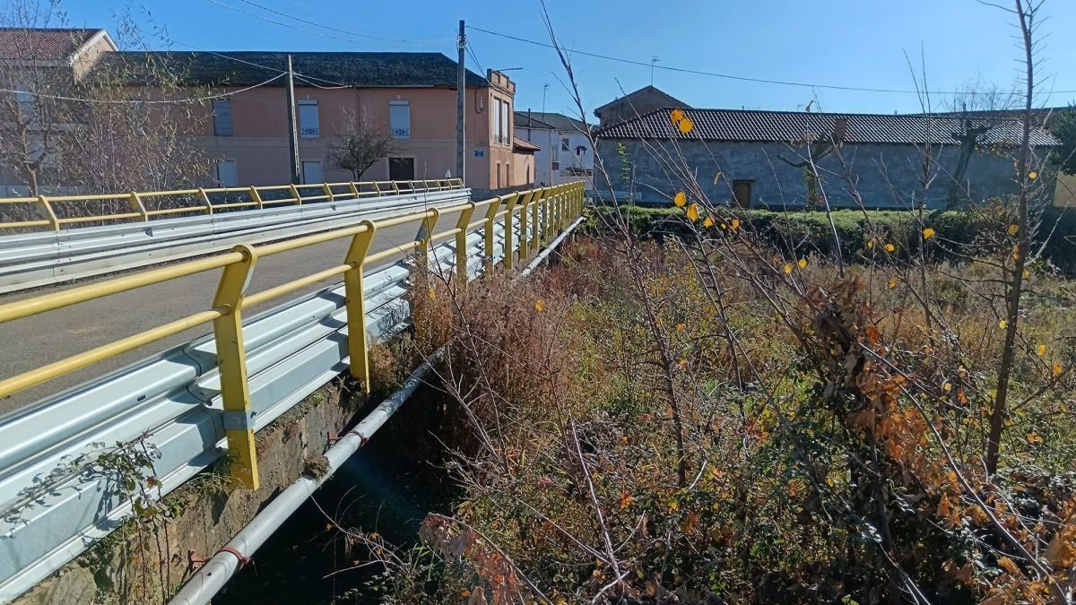 Estado de la maleza bajo el puente. TISTA RUBIO