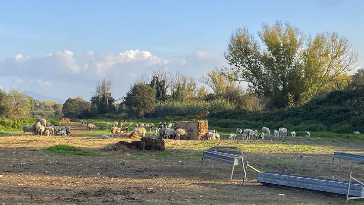 En Roma, entre el tráfico caótico y un ritmo de vida frenético, se encuentra el parque urbano más grande de Europa, el 'Parco Apia Antica', un espacio verde lleno de Historia.