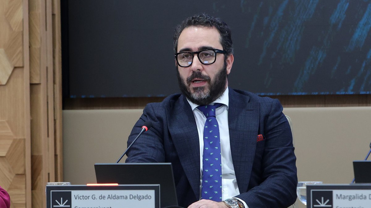 Archivo - El presidente del Zamaro CF, Víctor de Aldama, comparece ante la comisión no permanente de investigación en el Parlament balear, a 20 de mayo de 2024, en Palma de Mallorca, Mallorca, Baleares (España). La comisión no permanente de investigación