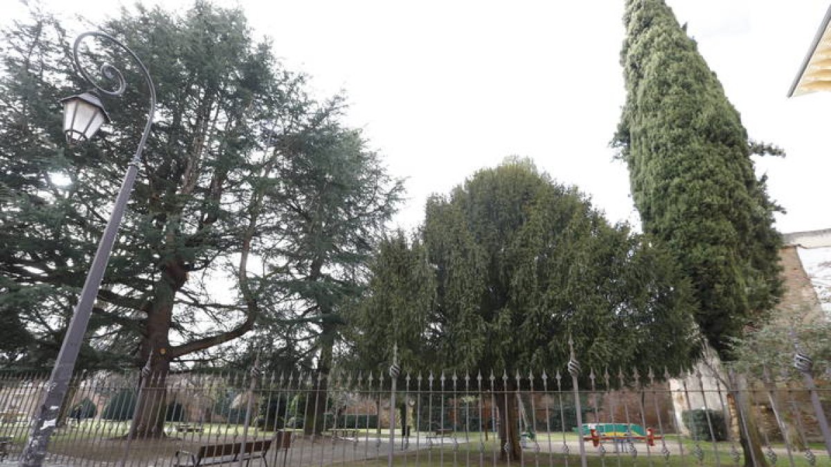 Árboles del parque del Cid en León.