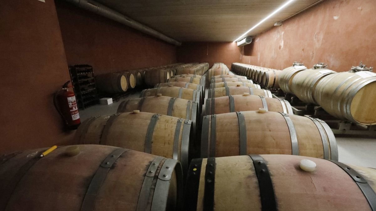 Meóriga mantiene desde sus primeros años de creación hace seis décadas las esencias de una bodega cuyos vinos son degustados y apreciados por su calidad y cuidado. RAMIRO